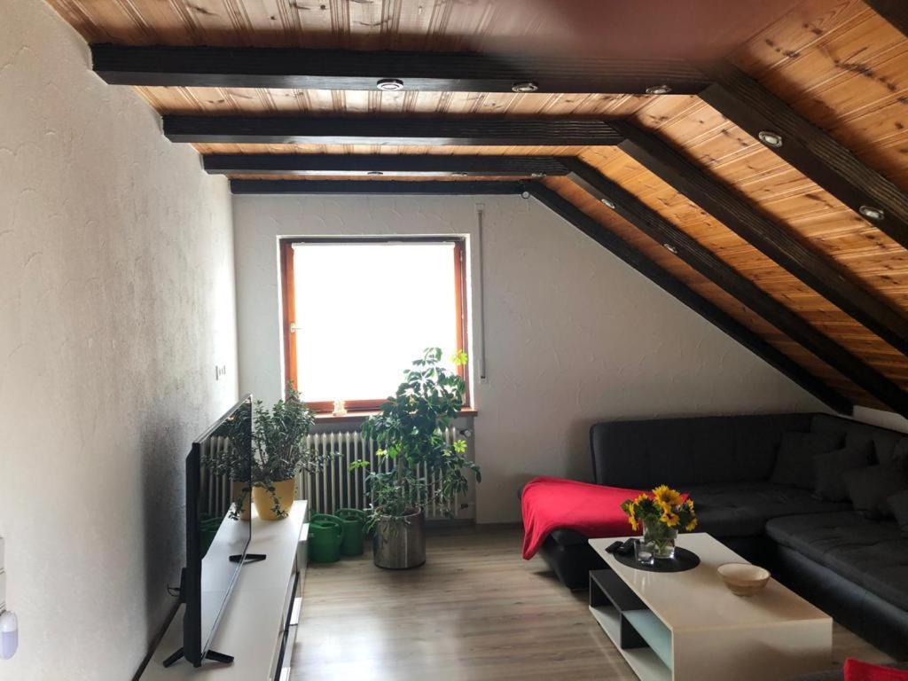 Ferienwohnung Zur Sonnenterasse In Gersbach Шопфхайм Экстерьер фото