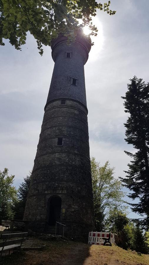 Ferienwohnung Zur Sonnenterasse In Gersbach Шопфхайм Экстерьер фото